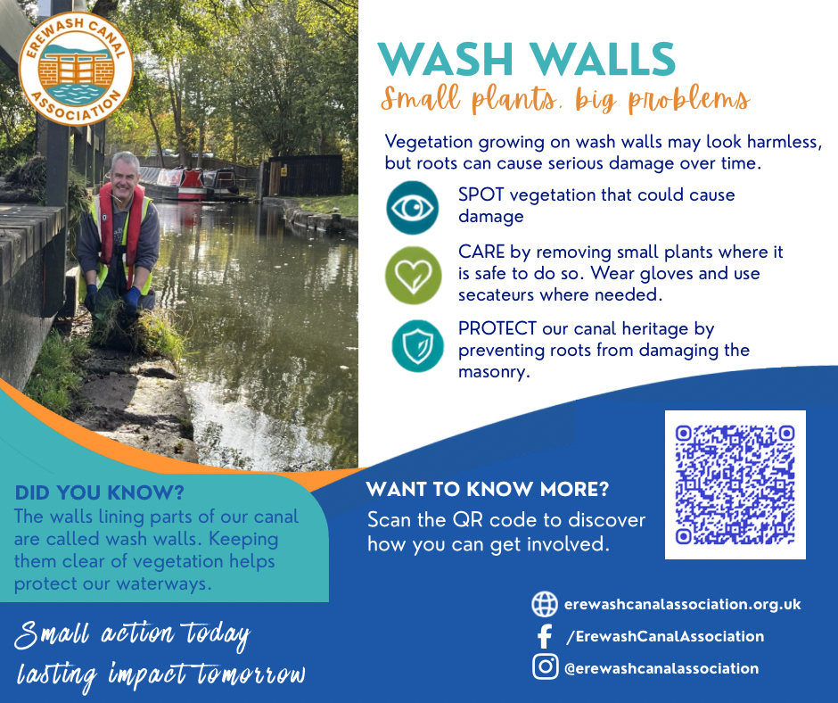 Wash Walls.jpeg